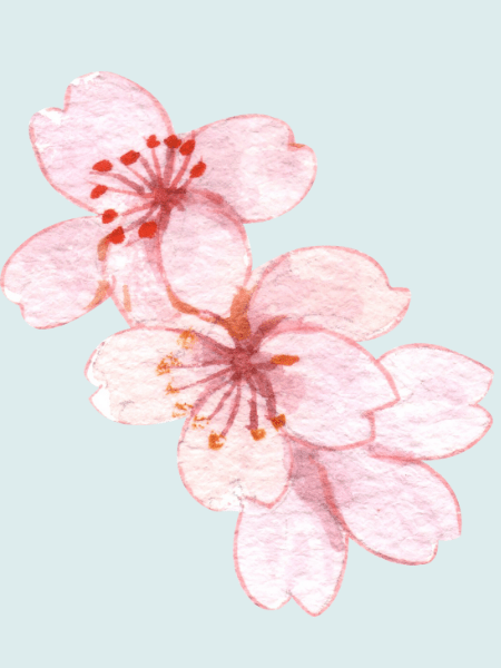 13 Basic Animal Terms&nbsp;(Chinese)