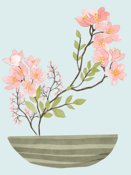 Etymology of 13 Basic Animal Terms (Chinese, Japanese, &&nbsp;Korean)