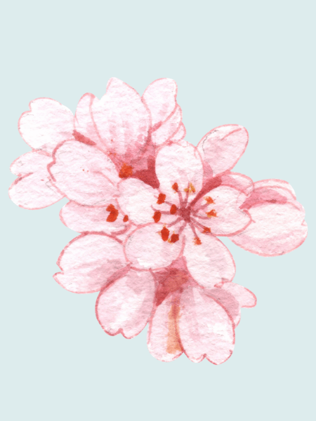 13 Basic Animal Terms&nbsp;(Japanese)