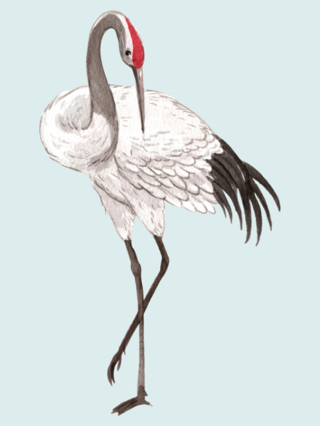 积劳成疾 惨死荒野 (Chinese)